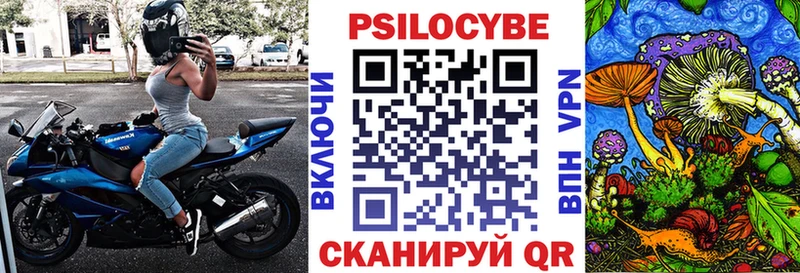 закладка  Салават  Псилоцибиновые грибы Cubensis 